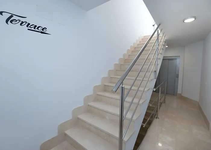 Mombasa 1 Planta *