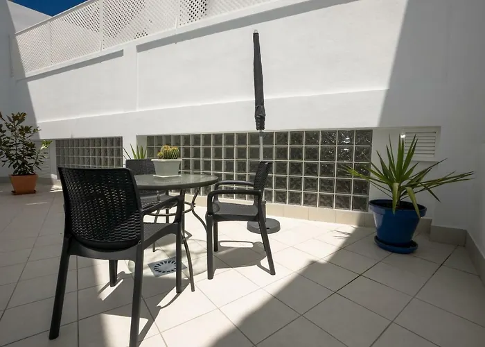 Mombasa 1 Planta *